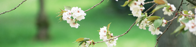 ���b�Z�[�W �C���[�W